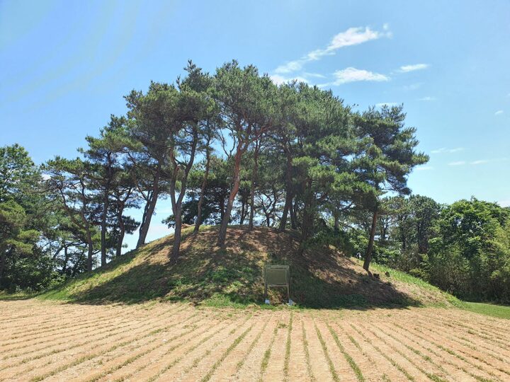 장성 유평리 부귀동 고분