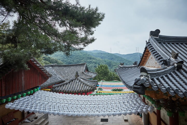 청계사