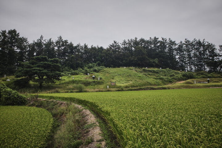용인 고안리 분청사기도요지