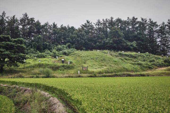 용인 고안리 분청사기도요지