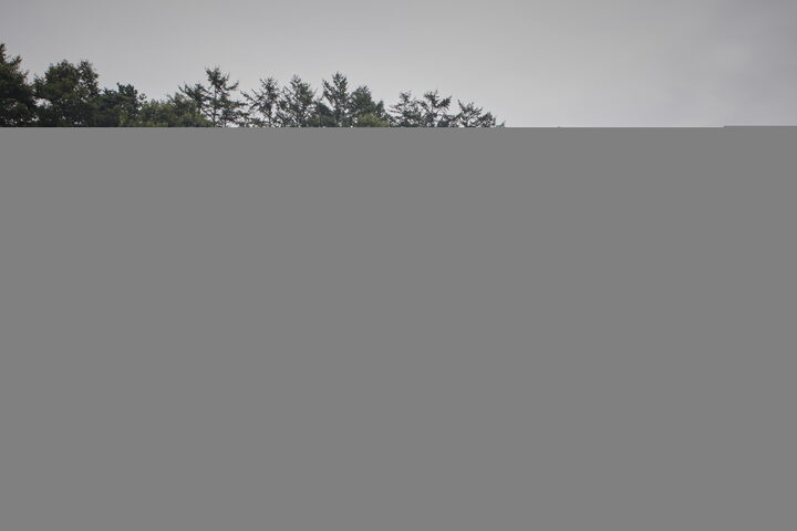 용인 고안리 분청사기도요지