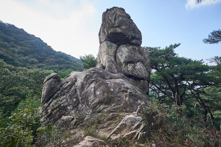 천진보탑