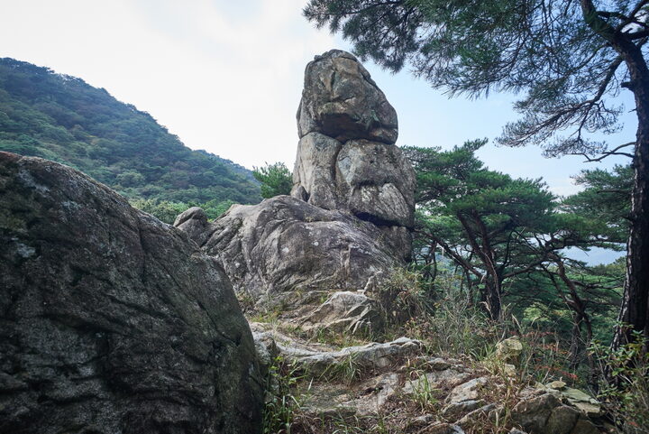 천진보탑