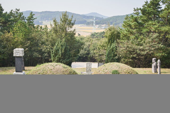 정충신묘