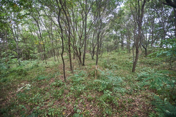 외성산성