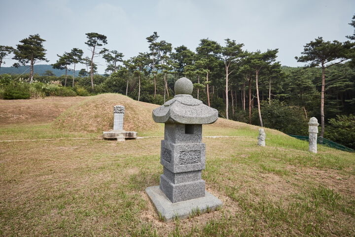 홍성임득의장군묘