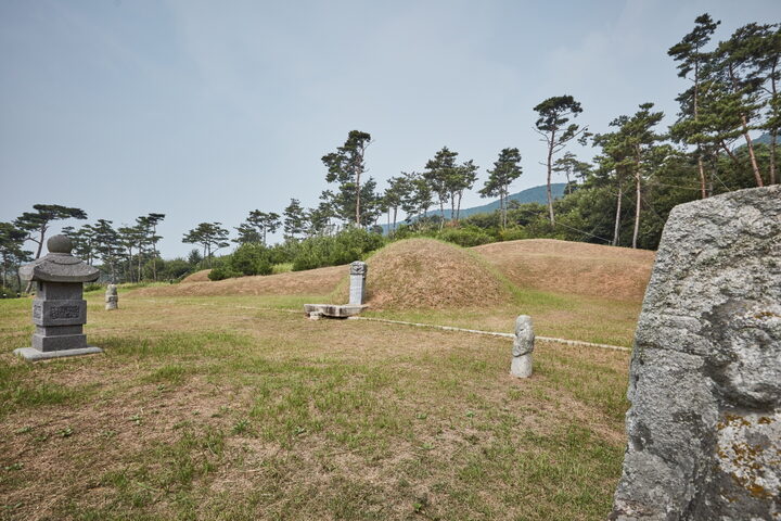 홍성임득의장군묘