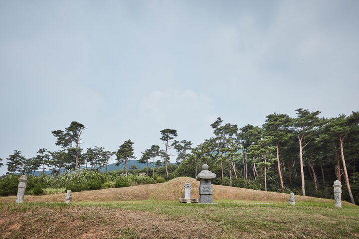 홍성임득의장군묘
