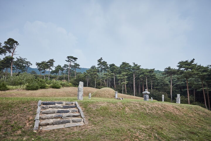 홍성임득의장군묘