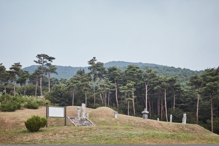 홍성임득의장군묘