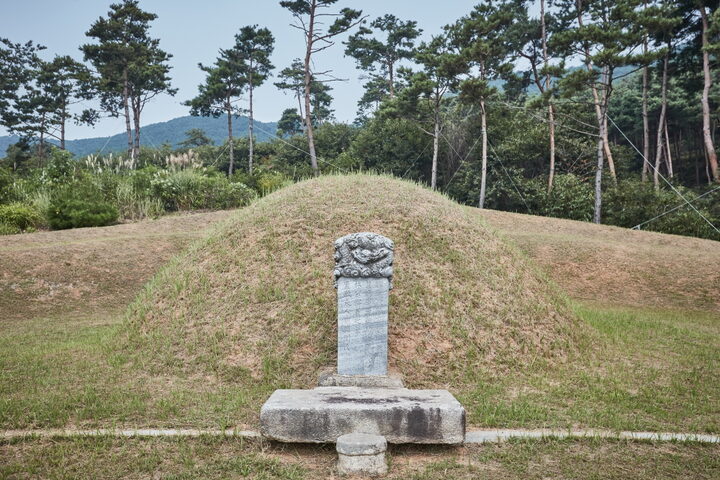홍성임득의장군묘