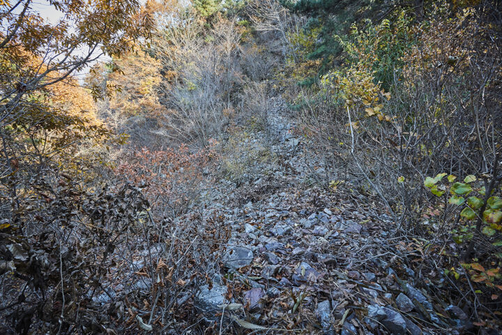 홍성장곡산성