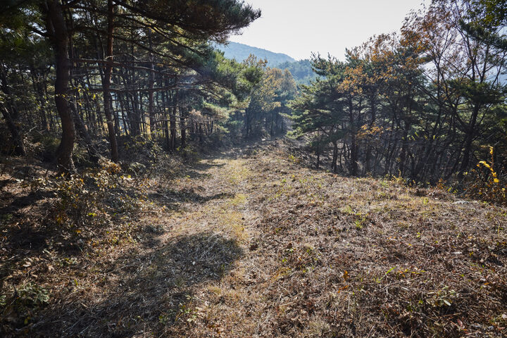 홍성장곡산성