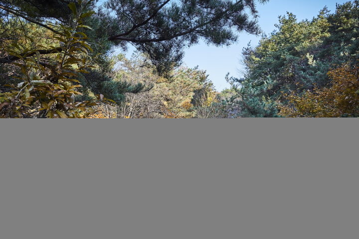 홍성장곡산성