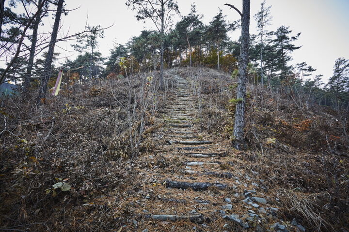 홍성장곡산성