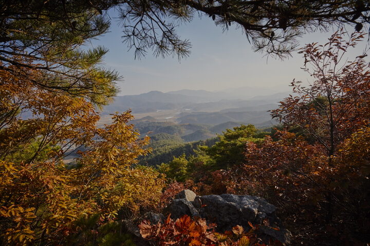 홍성장곡산성