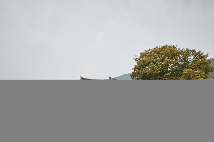 정충사