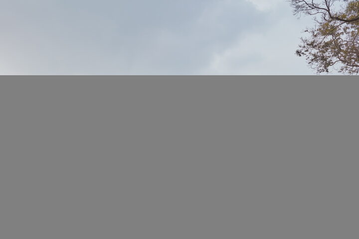 충청수영 진휼청