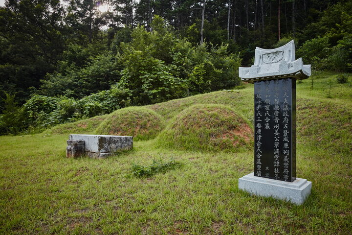 진천 강세황 묘소