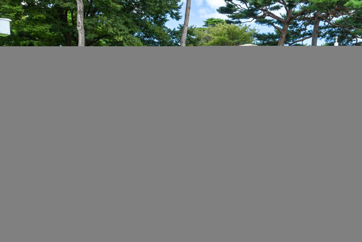 홍주성 수성비