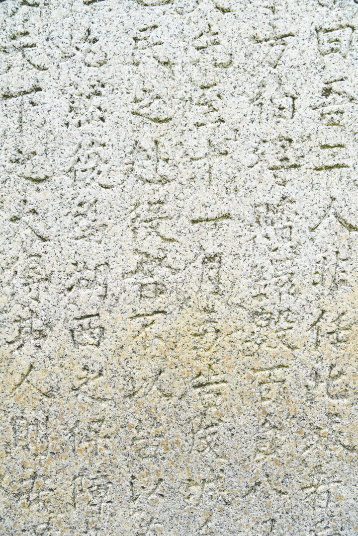 홍주성 수성비