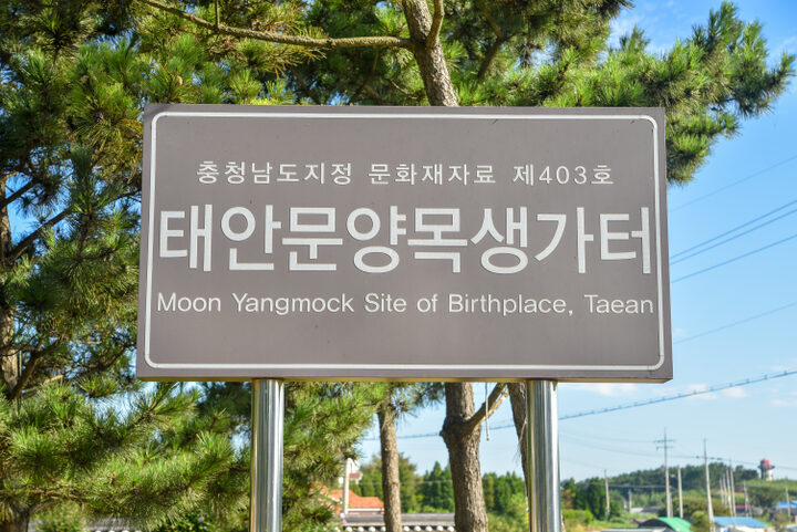 태안 문양목생가터