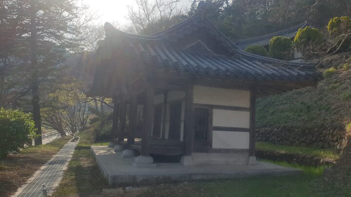 임청정