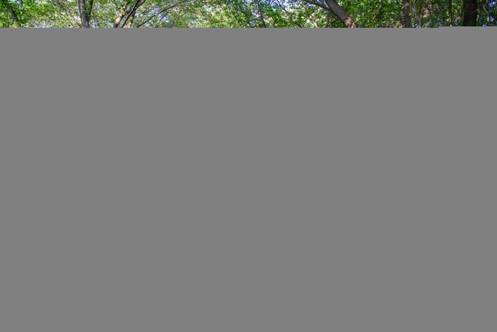 홍산태봉산성(사진)_세부 (촬영년도_2024년)