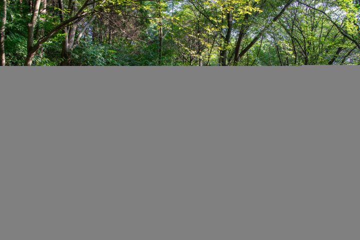 홍산태봉산성(사진)_세부 (촬영년도_2024년)
