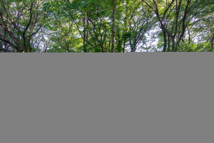 홍산태봉산성(사진)_세부 (촬영년도_2024년)