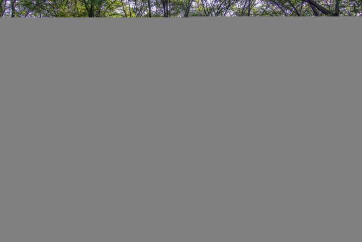 홍산태봉산성(사진)_세부 (촬영년도_2024년)