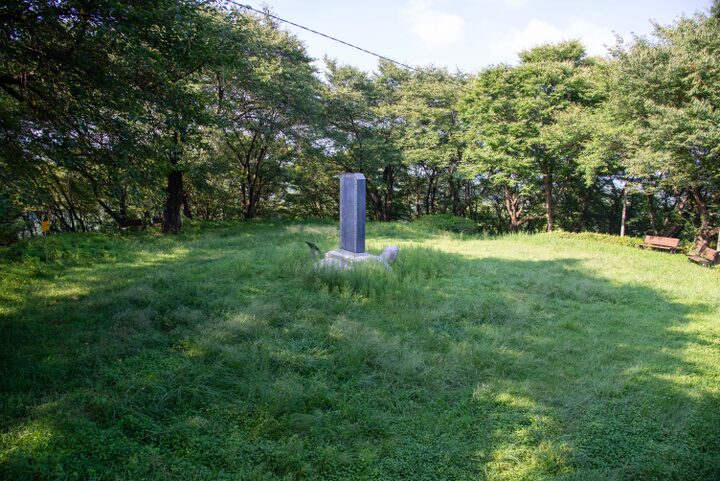 홍산태봉산성(사진)_세부 (촬영년도_2024년)