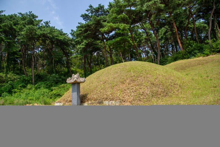 서천 이곡의 묘(사진)_전경 (촬영년도_2024년)