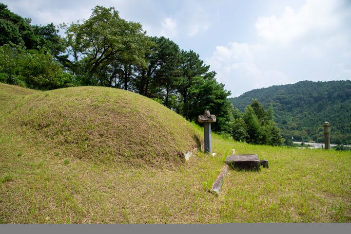 서천 이곡의 묘(사진)_전경 (촬영년도_2024년)
