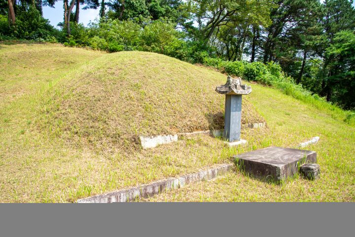서천 이곡의 묘(사진)_전경 (촬영년도_2024년)