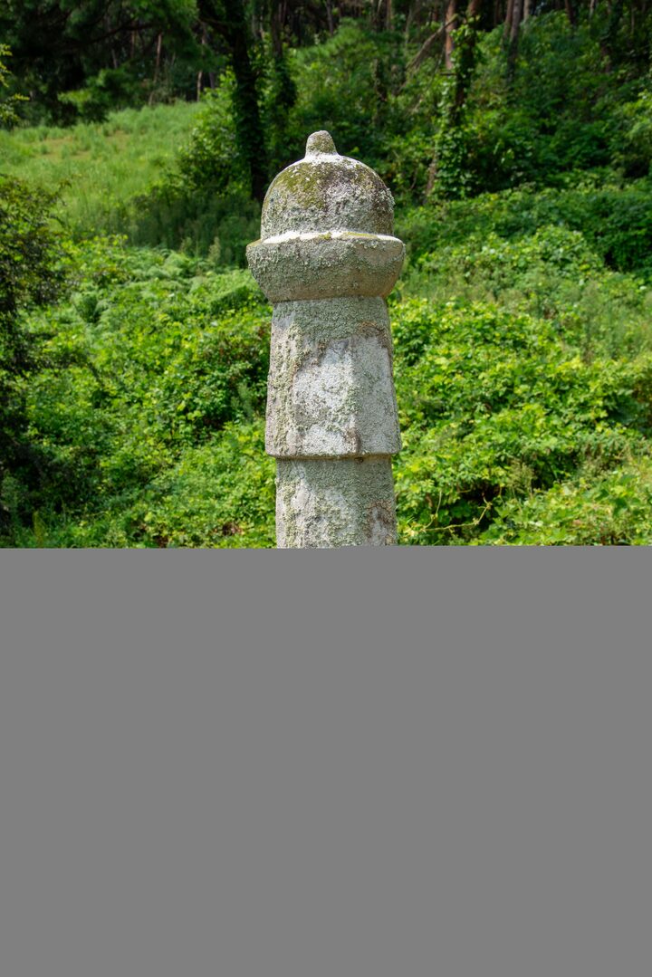 서천 이곡의 묘(사진)_세부 (촬영년도_2024년)