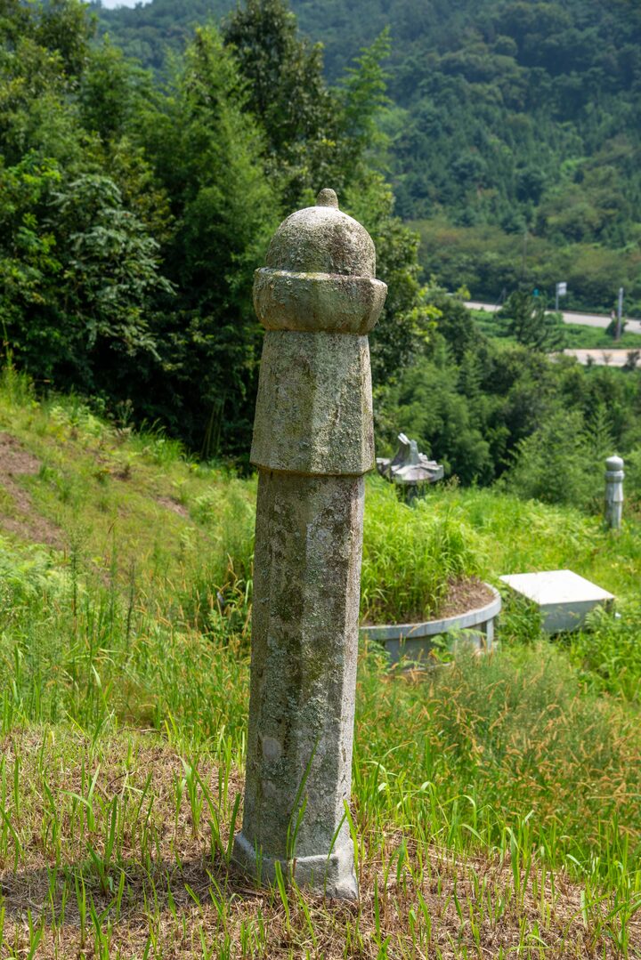 서천 이곡의 묘(사진)_세부 (촬영년도_2024년)