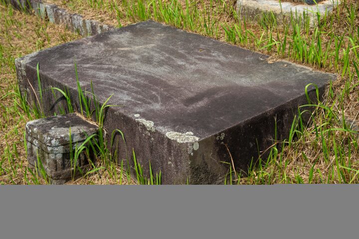 서천 이곡의 묘(사진)_세부 (촬영년도_2024년)