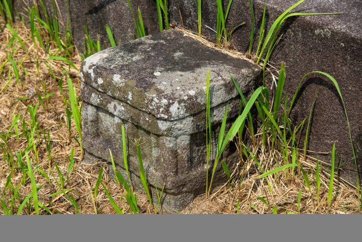서천 이곡의 묘(사진)_세부 (촬영년도_2024년)