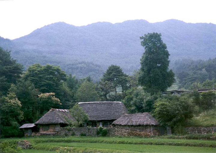 덕치리초가(전경)
