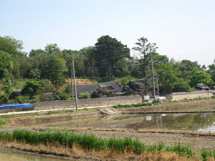영광 이규헌 가옥(전경) 20120521 유성원