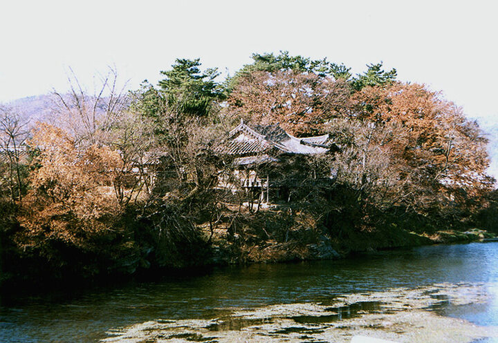 완귀정
