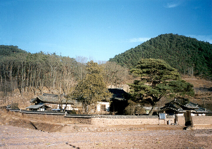학초정및정침