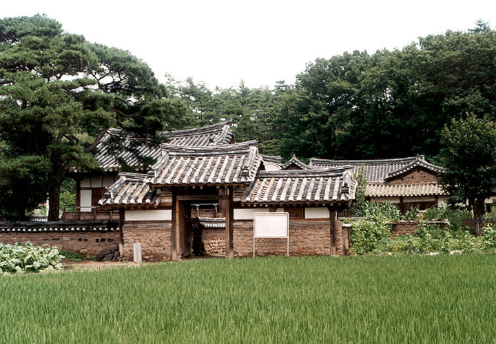 학초정및정침