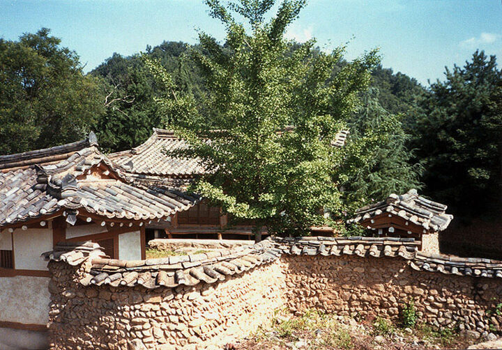 전경