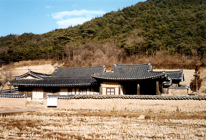 도곡충효당