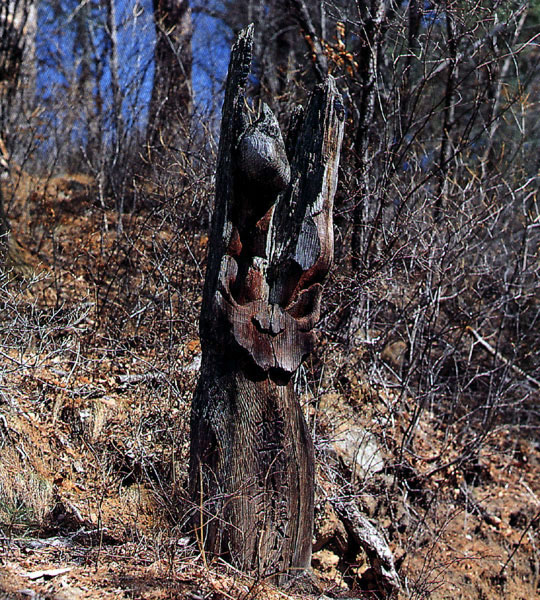 벽송사목장승(금호장군)
