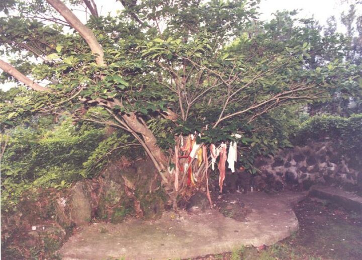 월평 다리굿당2