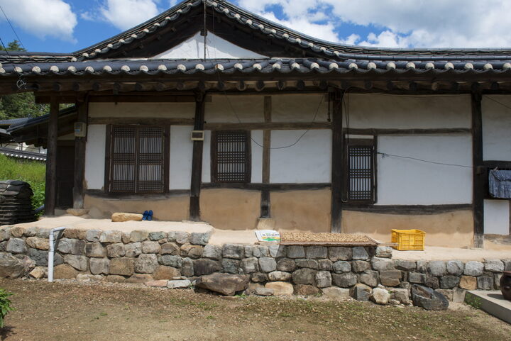 뒷면