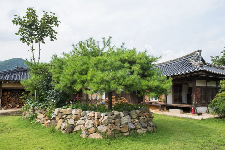 사랑채 안마당